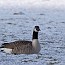 thumbs/IMG_3877.jpg